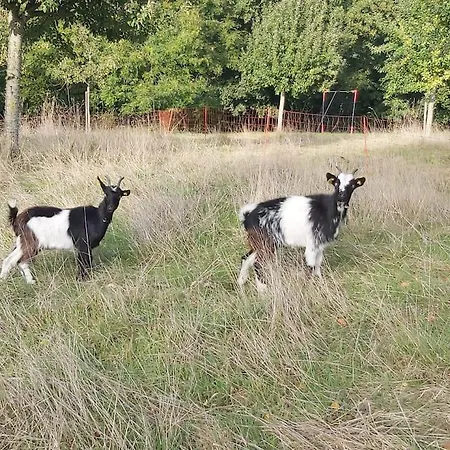Сasa de vacaciones Le Pressoir De Cour La *