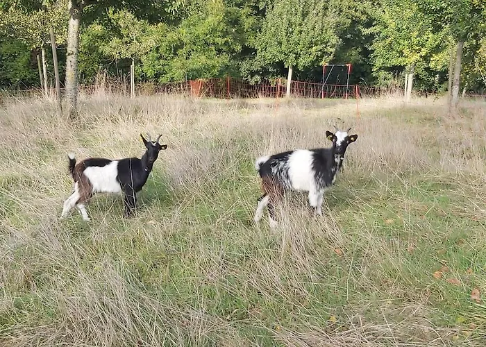 Vakantiehuis Le Pressoir De Cour La *